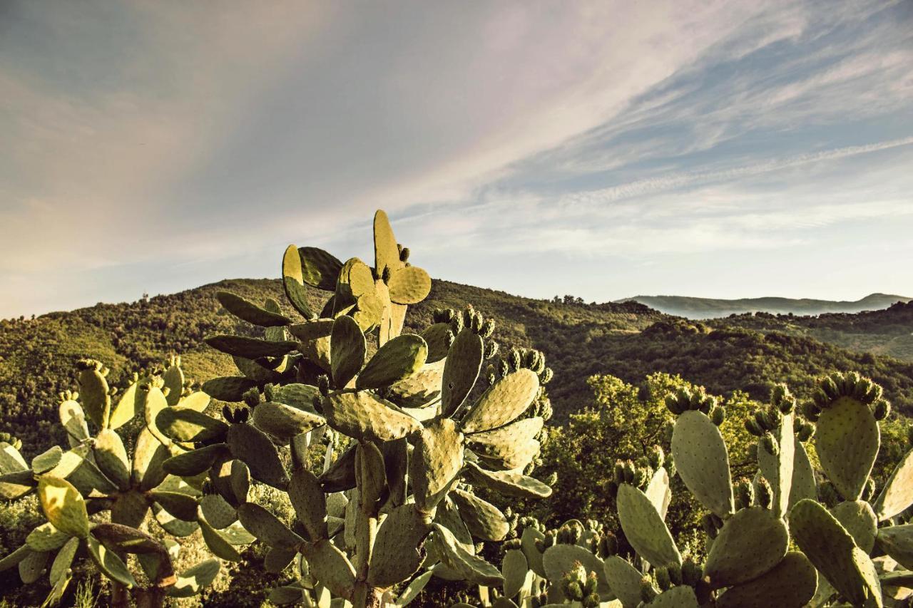 Rutino Casale I Cirillo Bed & Breakfast エクステリア 写真