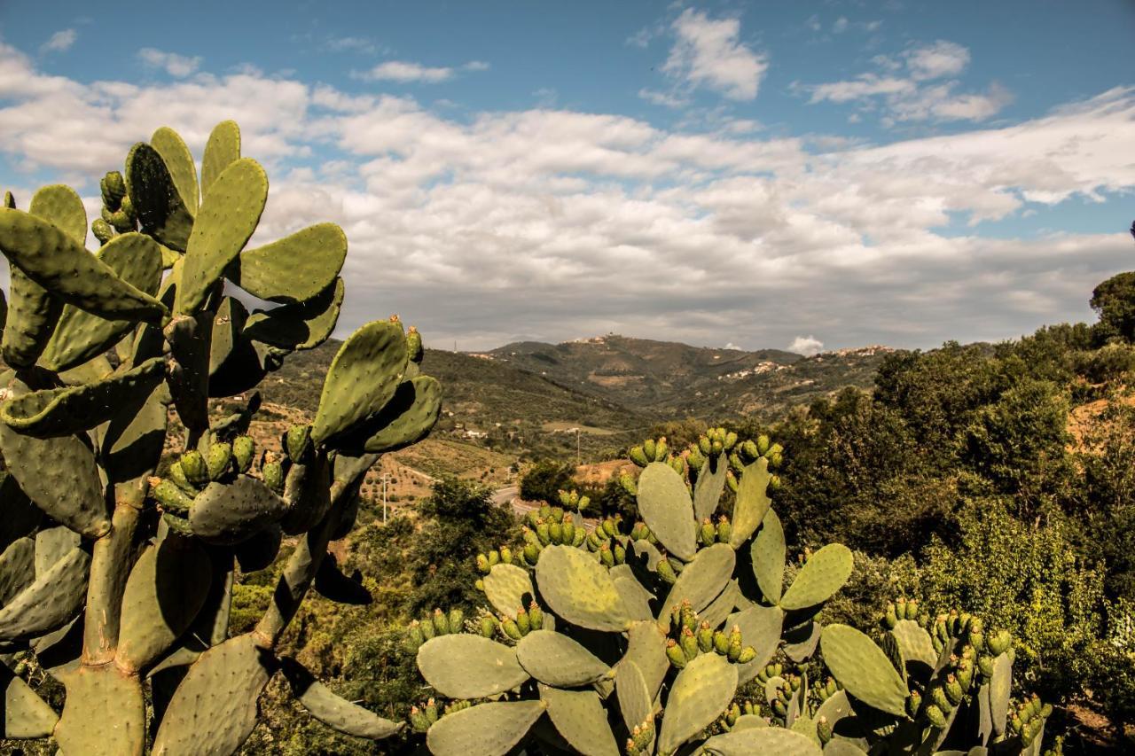 Rutino Casale I Cirillo Bed & Breakfast エクステリア 写真