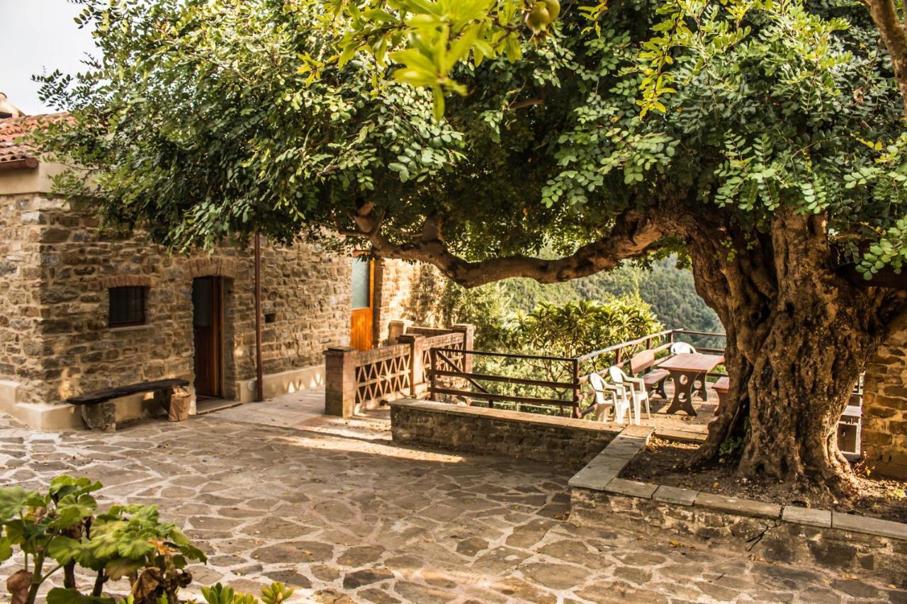 Rutino Casale I Cirillo Bed & Breakfast エクステリア 写真