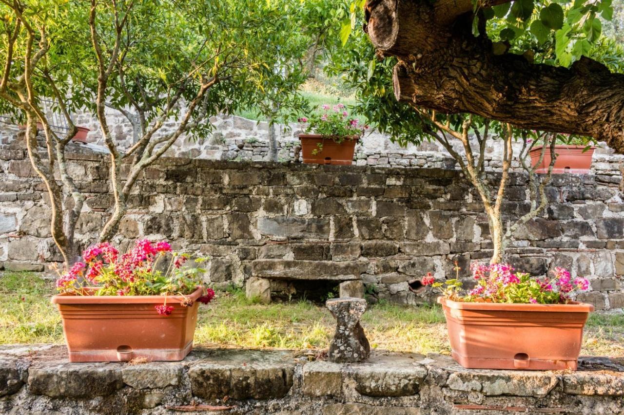 Rutino Casale I Cirillo Bed & Breakfast エクステリア 写真