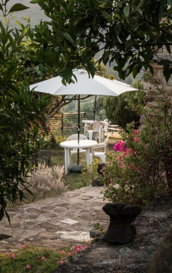 Rutino Casale I Cirillo Bed & Breakfast エクステリア 写真