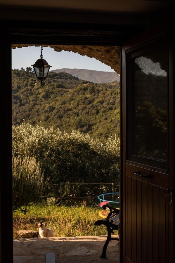 Rutino Casale I Cirillo Bed & Breakfast エクステリア 写真