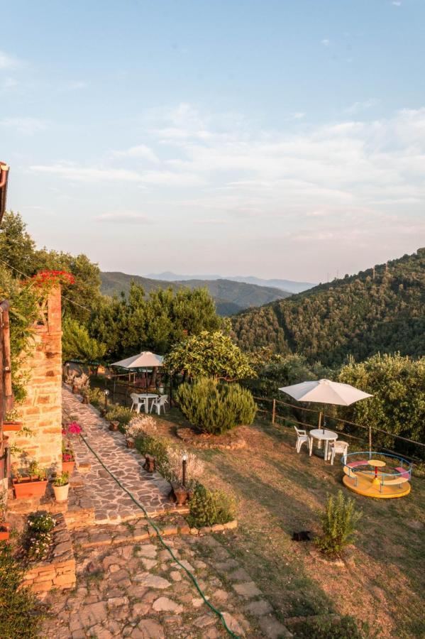Rutino Casale I Cirillo Bed & Breakfast エクステリア 写真
