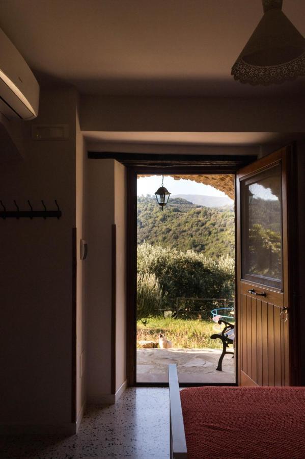 Rutino Casale I Cirillo Bed & Breakfast エクステリア 写真