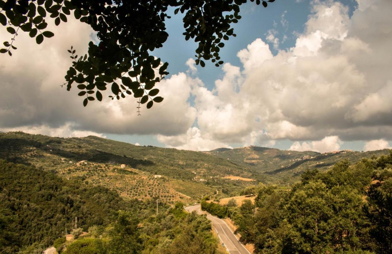Rutino Casale I Cirillo Bed & Breakfast エクステリア 写真