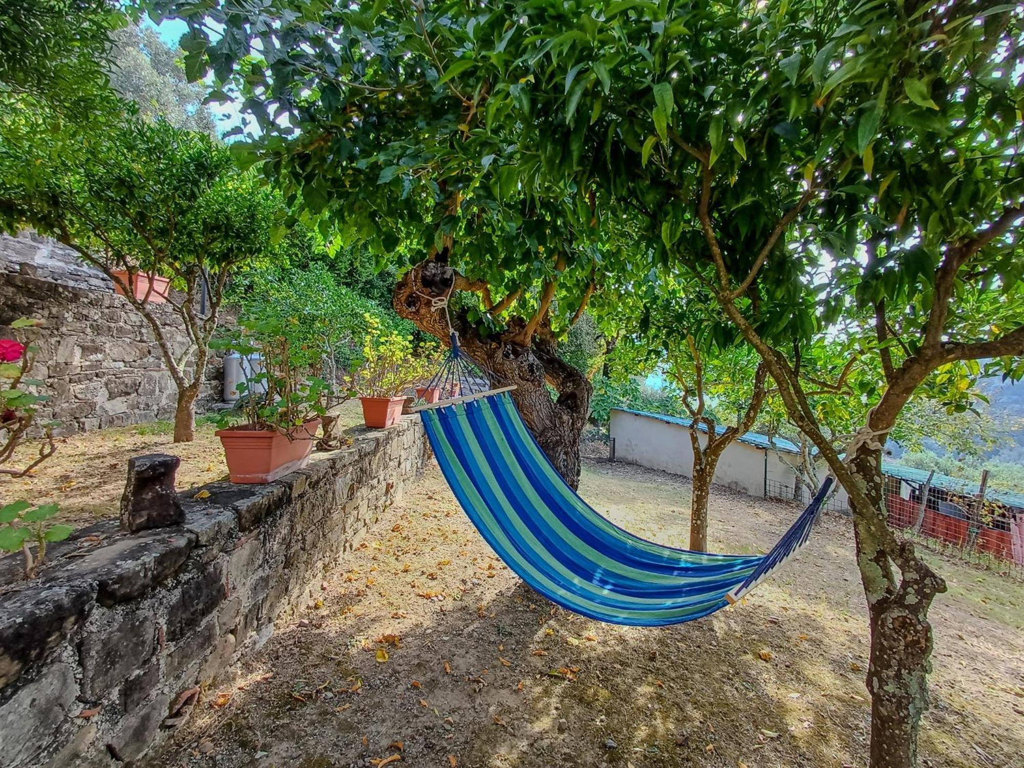 Rutino Casale I Cirillo Bed & Breakfast エクステリア 写真