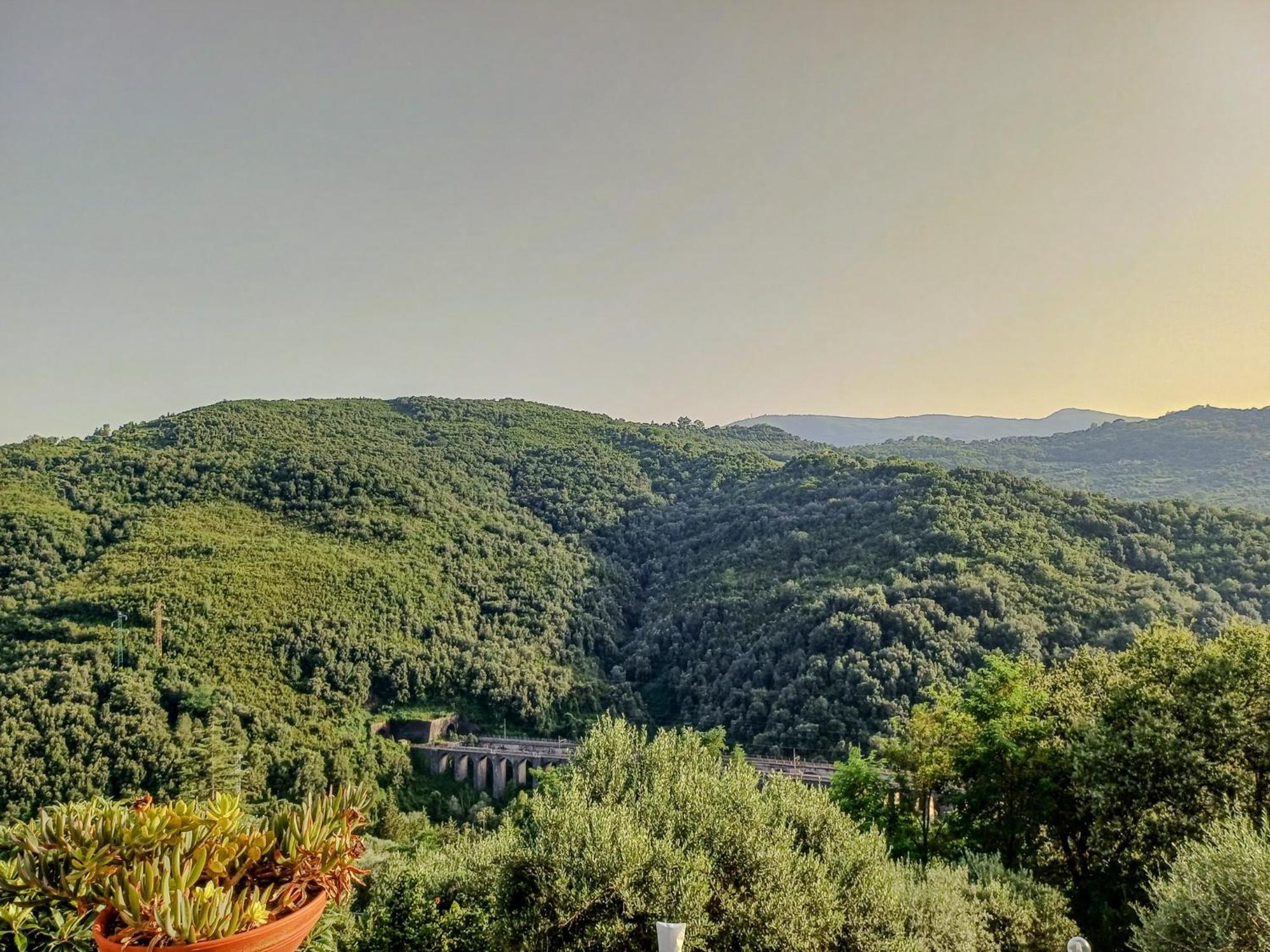 Rutino Casale I Cirillo Bed & Breakfast エクステリア 写真